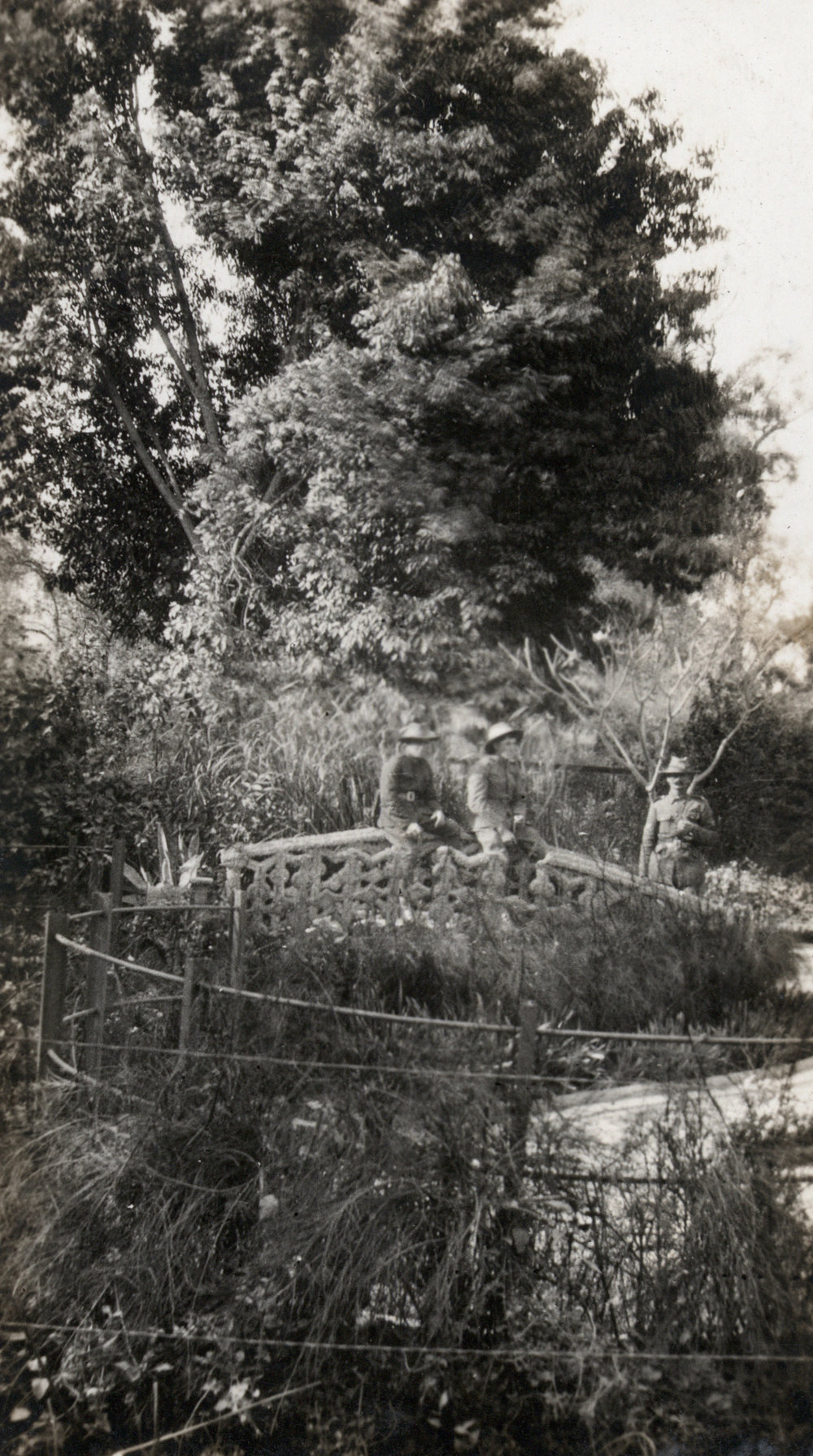 Photo from page 16 of album WWI Photograph Album - Egypt, Sinai &amp; Palestine.