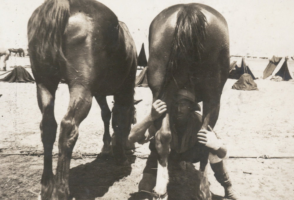 Photo from page 16 of album WWI Photograph Album - Egypt, Sinai &amp; Palestine.