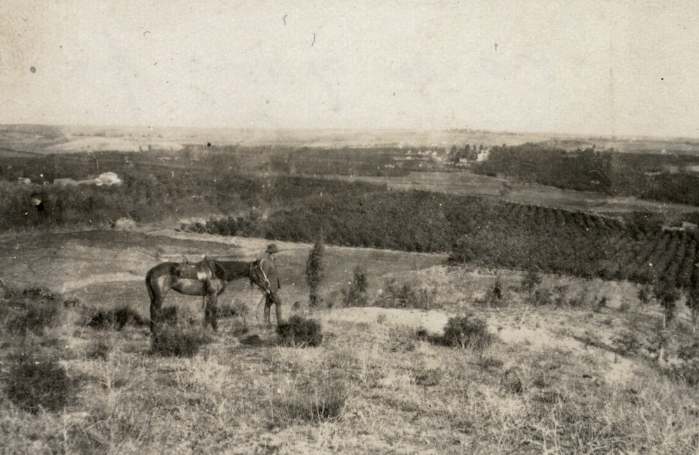 Photo from page 05 of album WWI Photograph Album - New Zealand, Egypt and Sinai &amp; Palestine.