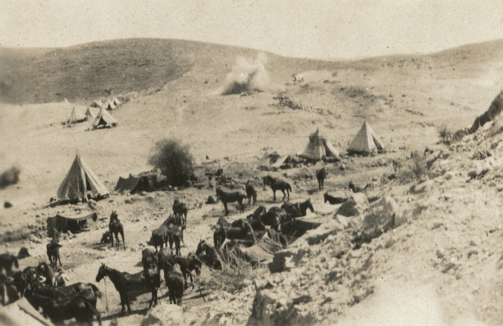 Photo from page 05 of album WWI Photograph Album - New Zealand, Egypt and Sinai &amp; Palestine.