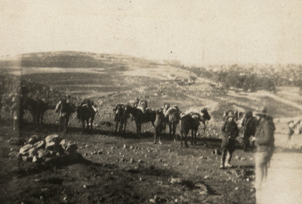 Photo from page 05 of album WWI Photograph Album - New Zealand, Egypt and Sinai &amp; Palestine.