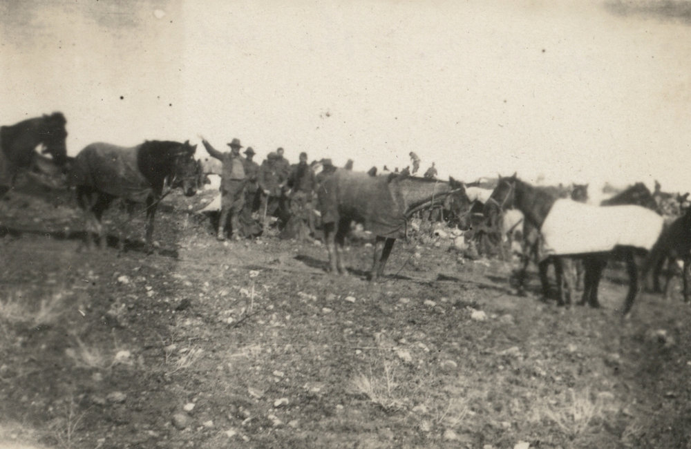 Photo from page 05 of album WWI Photograph Album - New Zealand, Egypt and Sinai &amp; Palestine.