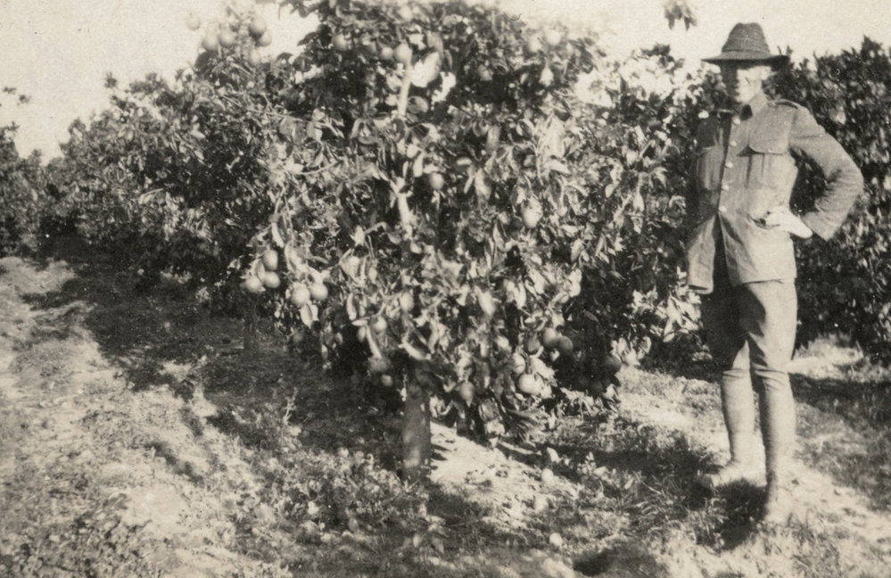 Photo from page 05 of album WWI Photograph Album - New Zealand, Egypt and Sinai &amp; Palestine.