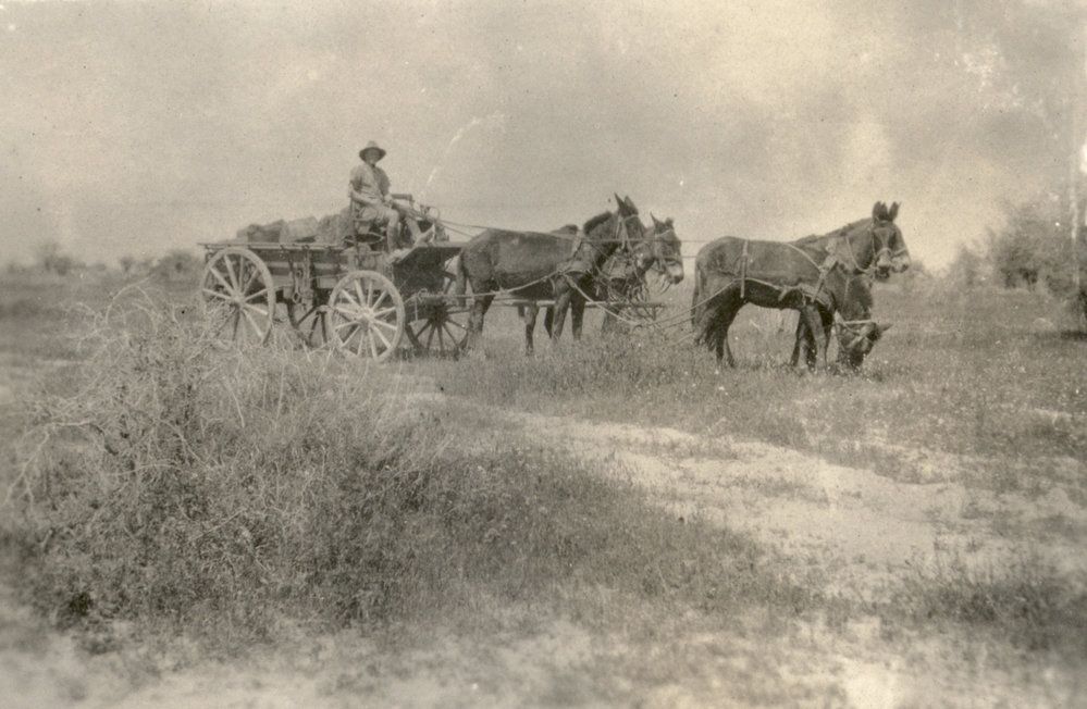 Photo from page 06 of album WWI Photograph Album - New Zealand, Egypt and Sinai &amp; Palestine.