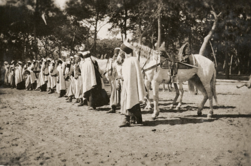 Photo from page 06 of album WWI Photograph Album - New Zealand, Egypt and Sinai &amp; Palestine.