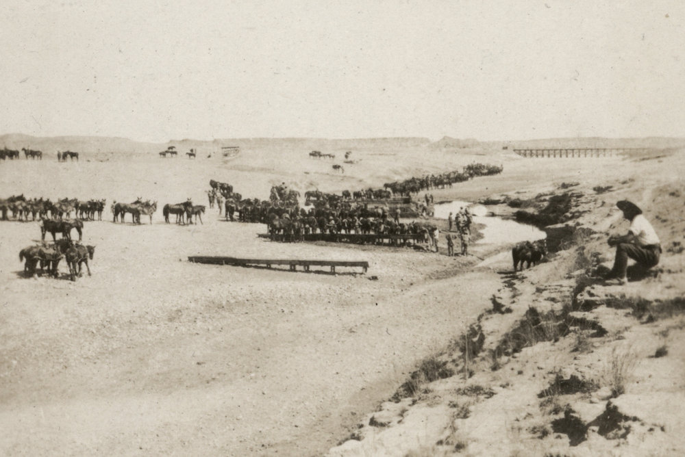Photo from page 06 of album WWI Photograph Album - New Zealand, Egypt and Sinai &amp; Palestine.