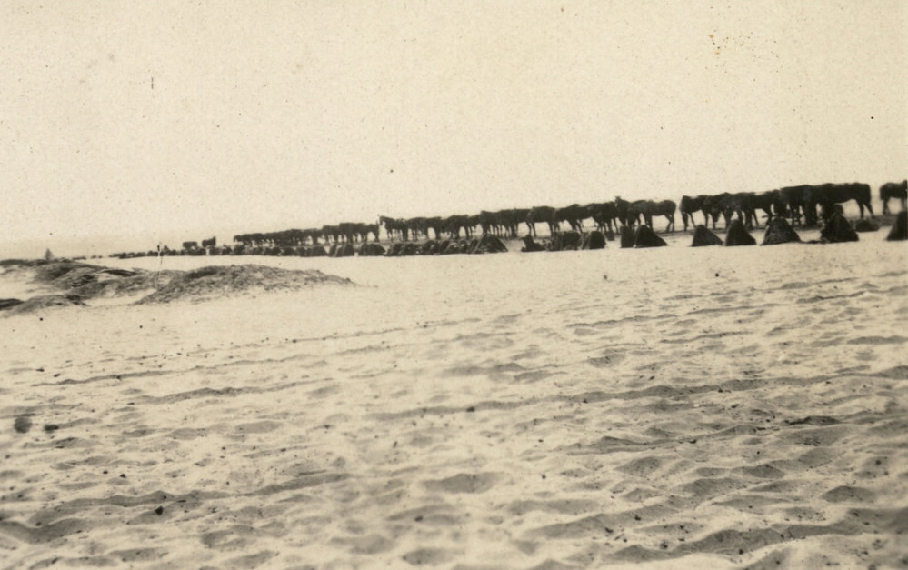 Photo from page 07 of album WWI Photograph Album - New Zealand, Egypt and Sinai &amp; Palestine.
