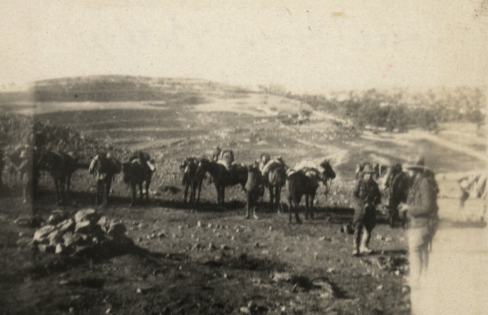 Photo from page 07 of album WWI Photograph Album - New Zealand, Egypt and Sinai &amp; Palestine.