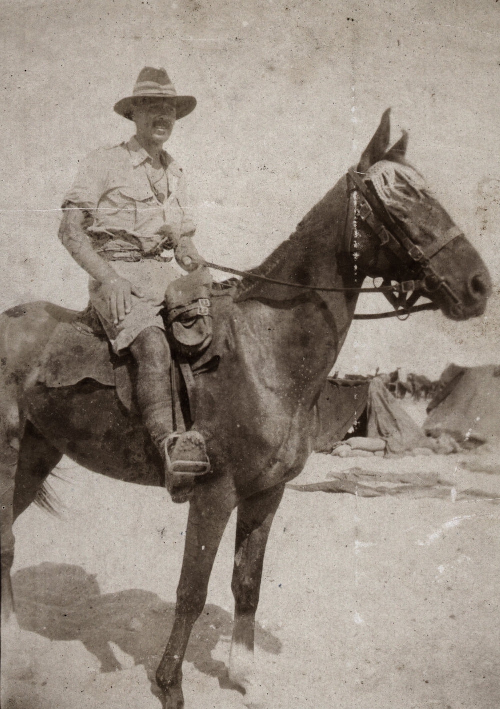 Photo from page 07 of album WWI Photograph Album - New Zealand, Egypt and Sinai &amp; Palestine.