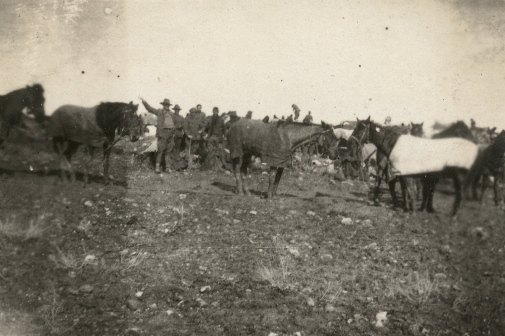 Photo from page 07 of album WWI Photograph Album - New Zealand, Egypt and Sinai &amp; Palestine.