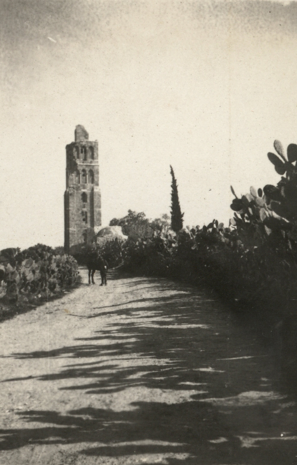 Photo from page 07 of album WWI Photograph Album - New Zealand, Egypt and Sinai &amp; Palestine.