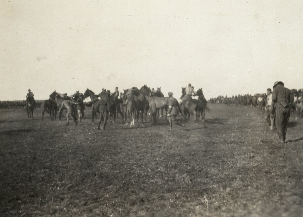 Photo from page 07 of album WWI Photograph Album - New Zealand, Egypt and Sinai &amp; Palestine.