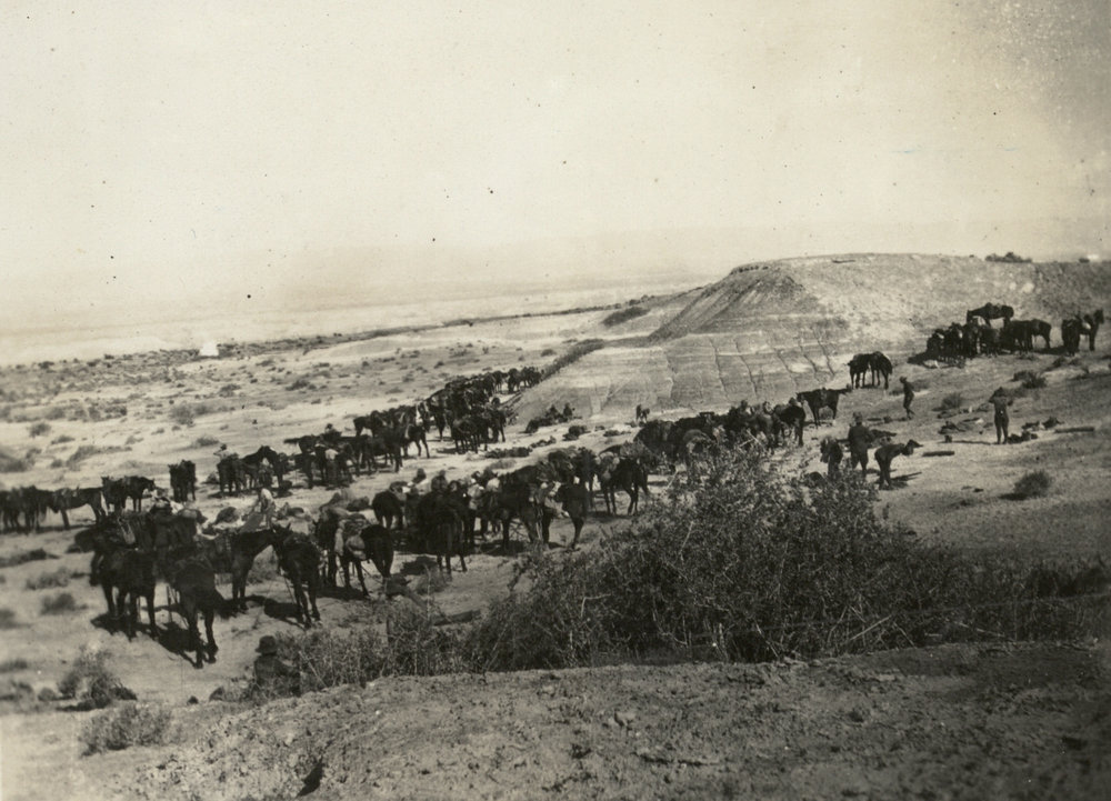 Photo from page 08 of album WWI Photograph Album - New Zealand, Egypt and Sinai &amp; Palestine.