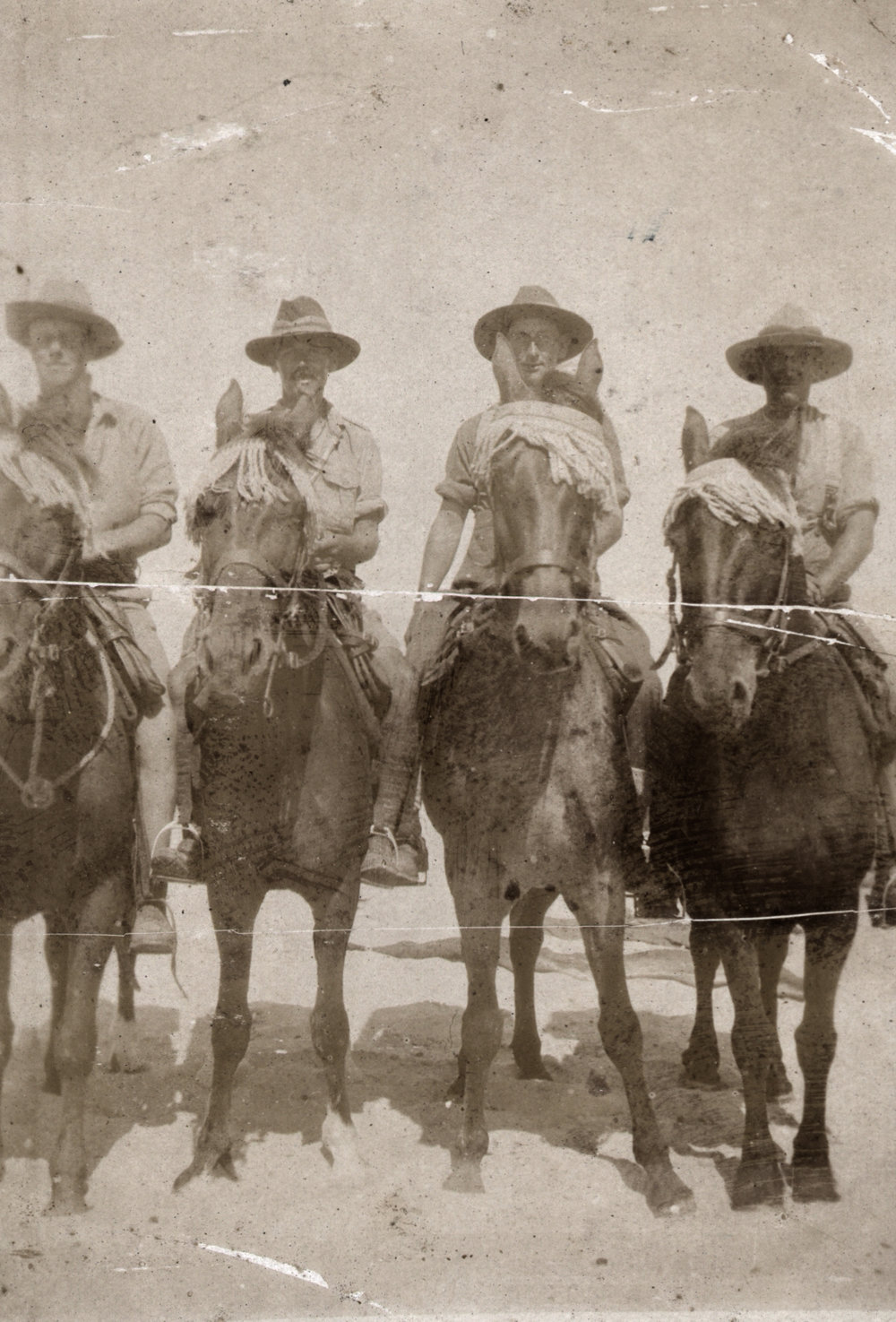 Photo from page 09 of album WWI Photograph Album - New Zealand, Egypt and Sinai &amp; Palestine.