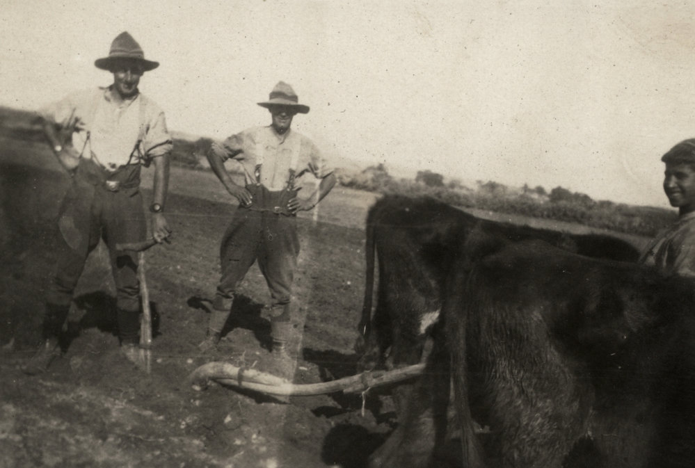 Photo from page 10 of album WWI Photograph Album - New Zealand, Egypt and Sinai &amp; Palestine.