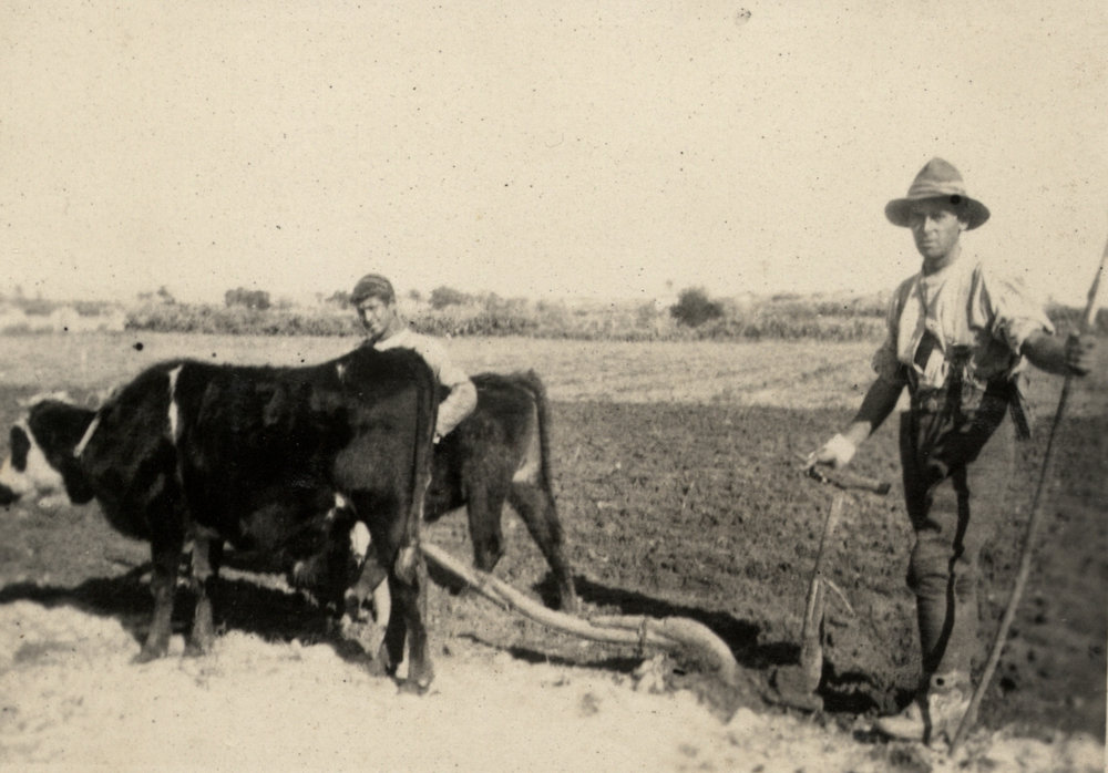 Photo from page 10 of album WWI Photograph Album - New Zealand, Egypt and Sinai &amp; Palestine.