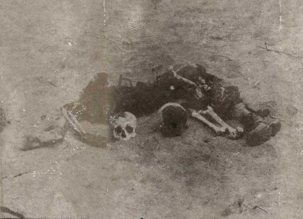 Photo from page 11 of album WWI Photograph Album - New Zealand, Egypt and Sinai &amp; Palestine.