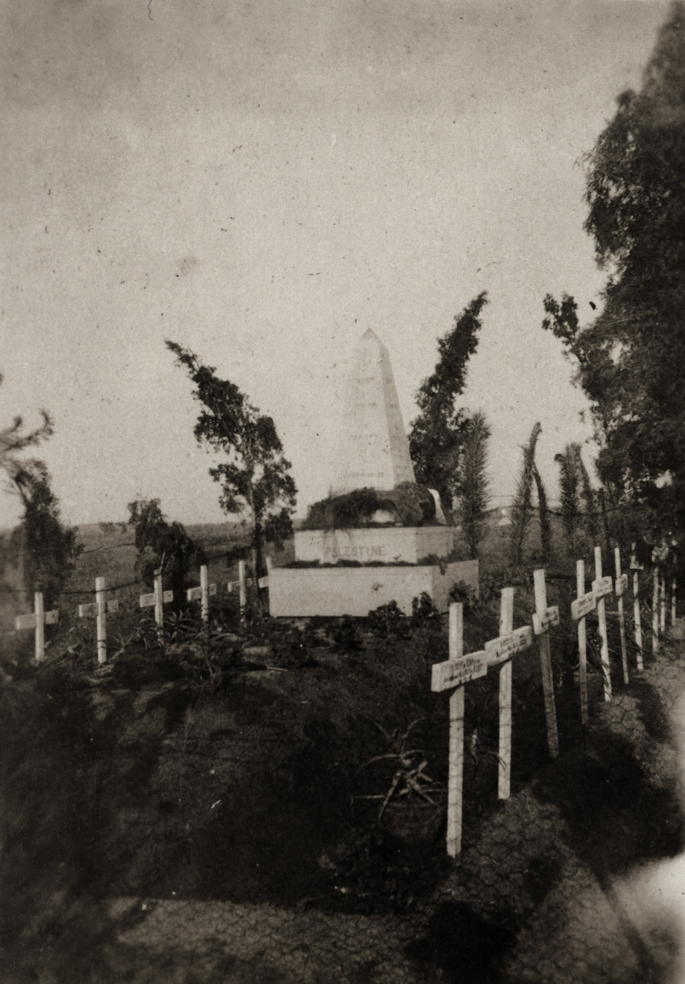 Photo from page 11 of album WWI Photograph Album - New Zealand, Egypt and Sinai &amp; Palestine.