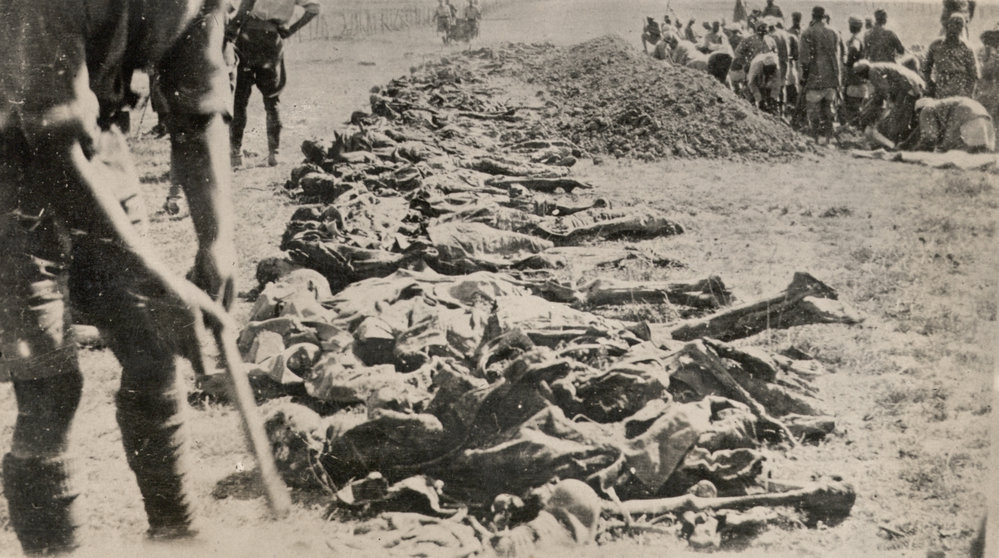 Photo from page 11 of album WWI Photograph Album - New Zealand, Egypt and Sinai &amp; Palestine.