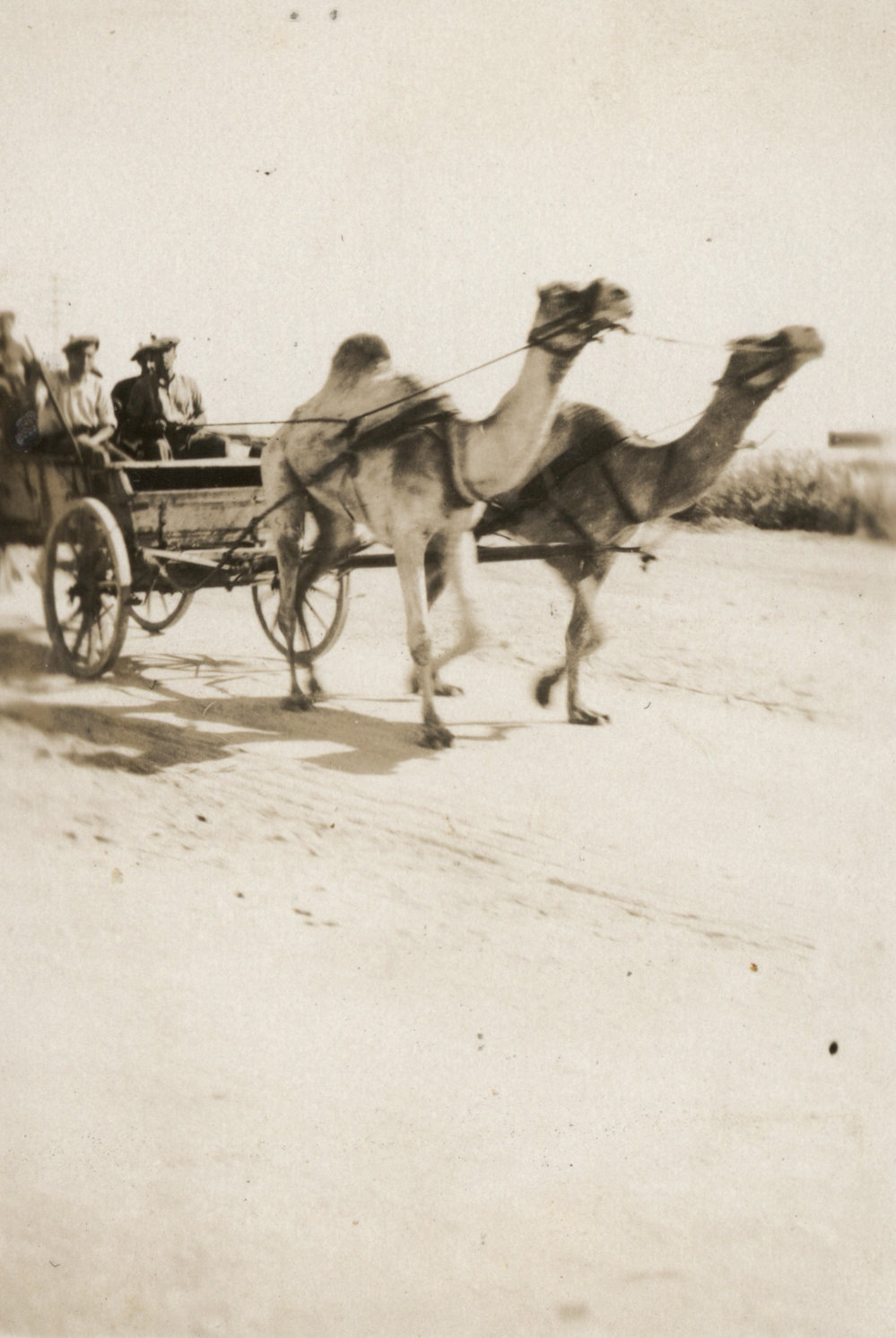 Photo from page 13 of album WWI Photograph Album - New Zealand, Egypt and Sinai &amp; Palestine.