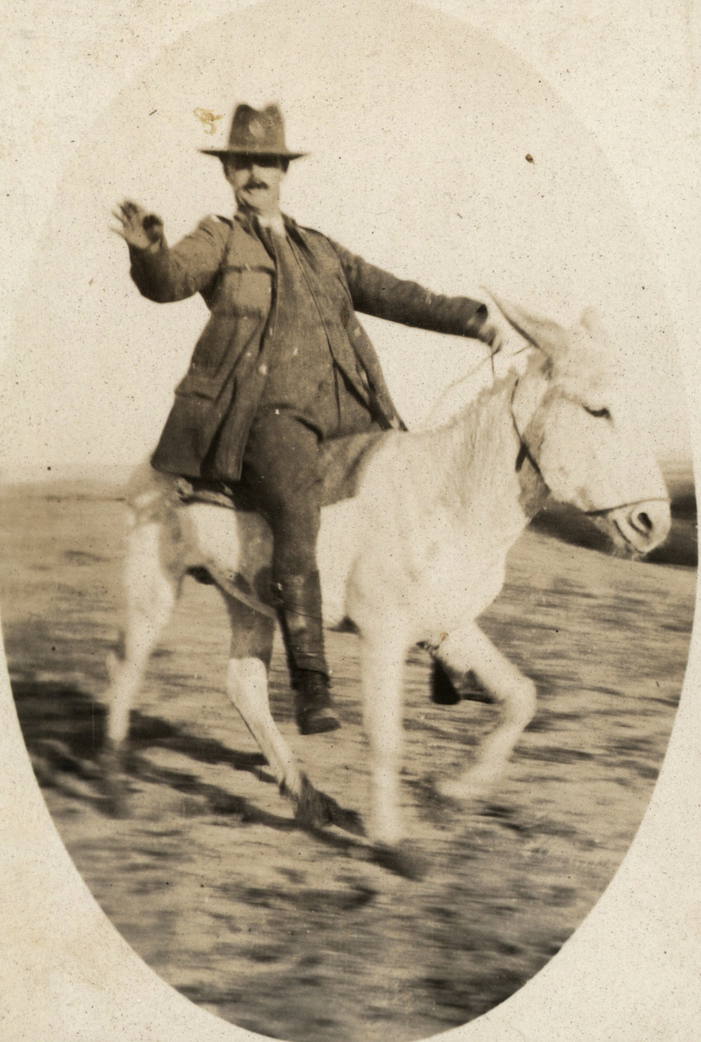 Photo from page 13 of album WWI Photograph Album - New Zealand, Egypt and Sinai &amp; Palestine.