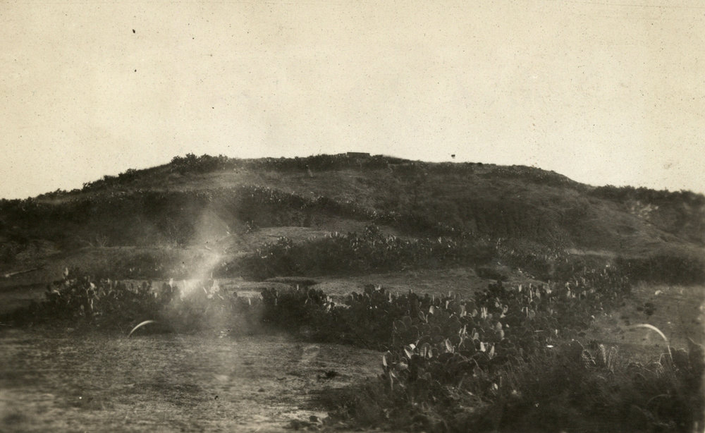 Photo from page 18 of album WWI Photograph Album - New Zealand, Egypt and Sinai &amp; Palestine.