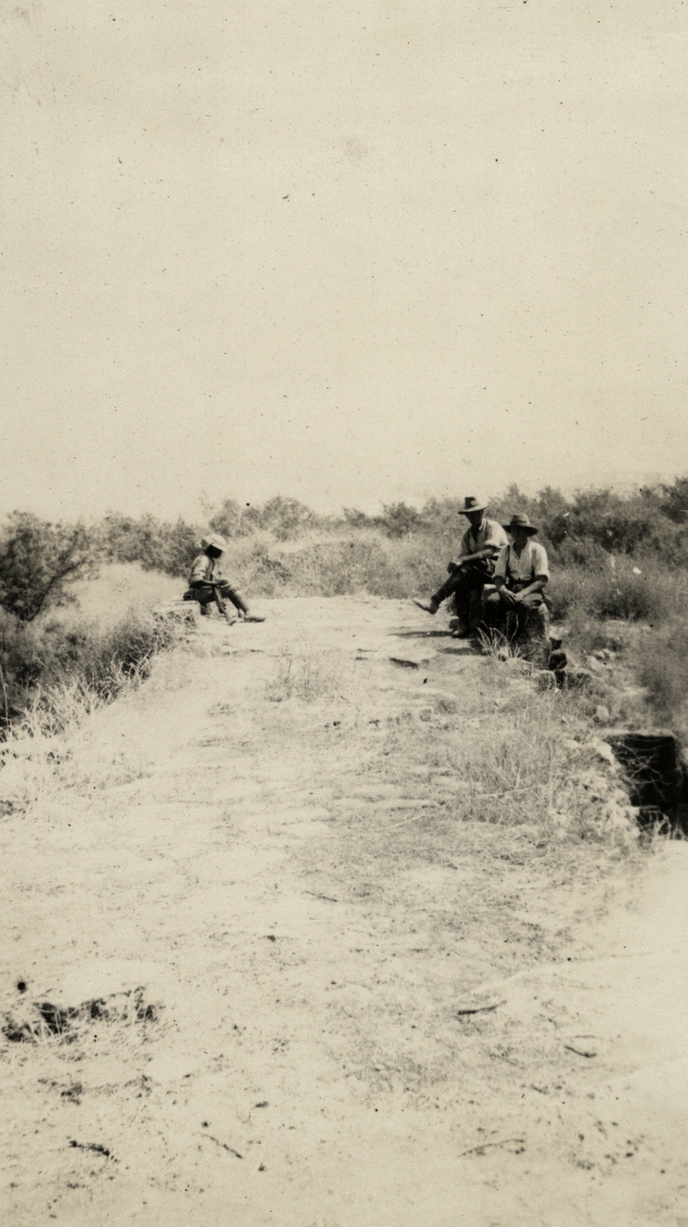 Photo from page 21 of album WWI Photograph Album - New Zealand, Egypt and Sinai &amp; Palestine.