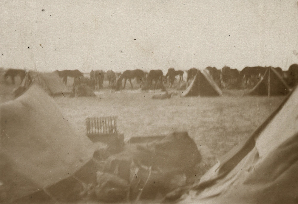 Photo from page 21 of album WWI Photograph Album - New Zealand, Egypt and Sinai &amp; Palestine.