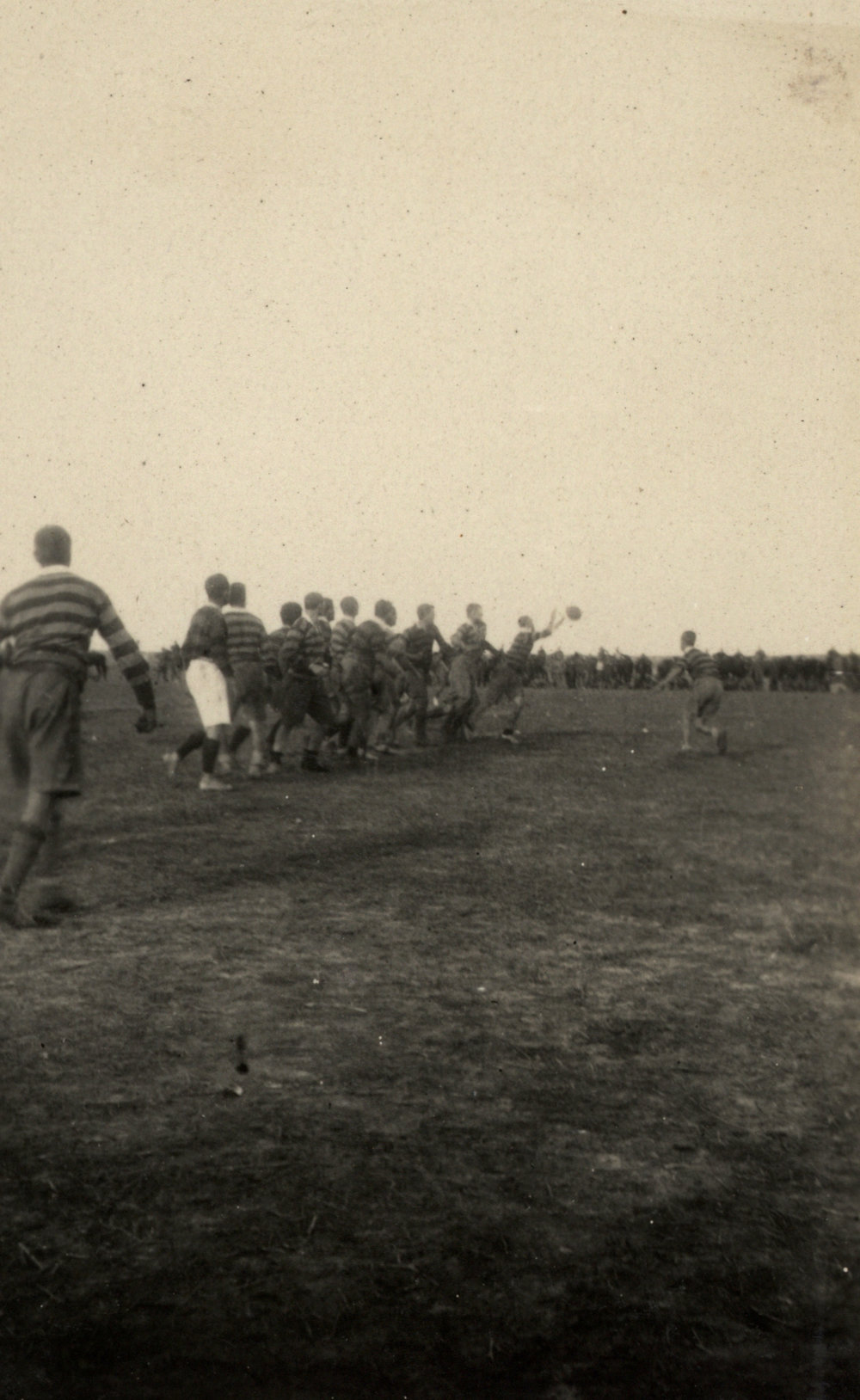 Photo from page 22 of album WWI Photograph Album - New Zealand, Egypt and Sinai &amp; Palestine.