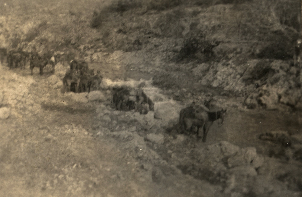 Photo from page 24 of album WWI Photograph Album - New Zealand, Egypt and Sinai &amp; Palestine.