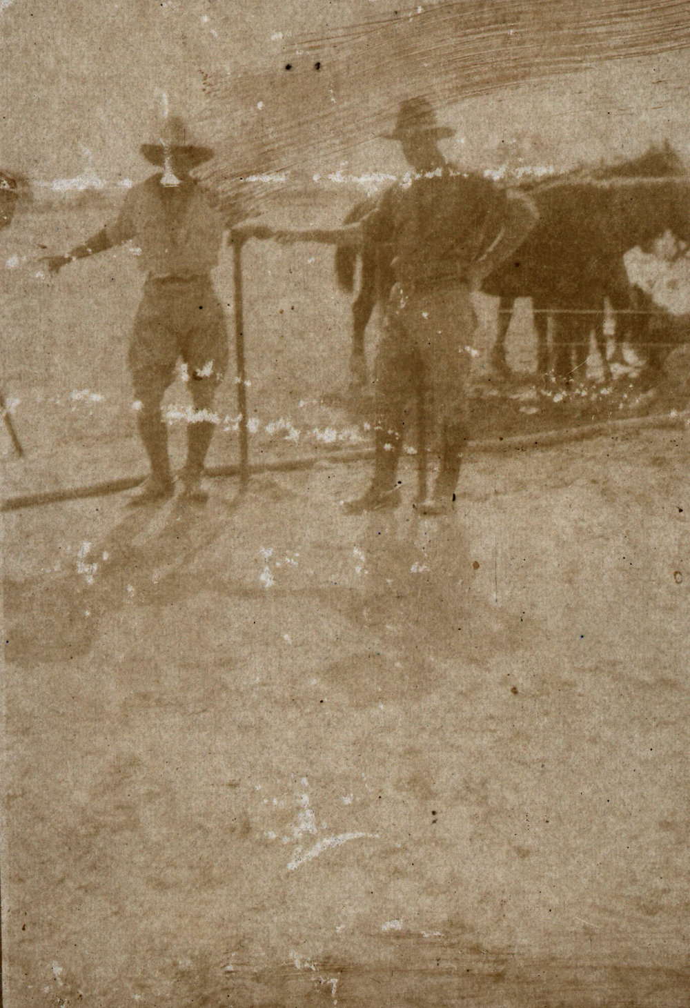 Photo from page 25 of album WWI Photograph Album - New Zealand, Egypt and Sinai &amp; Palestine.