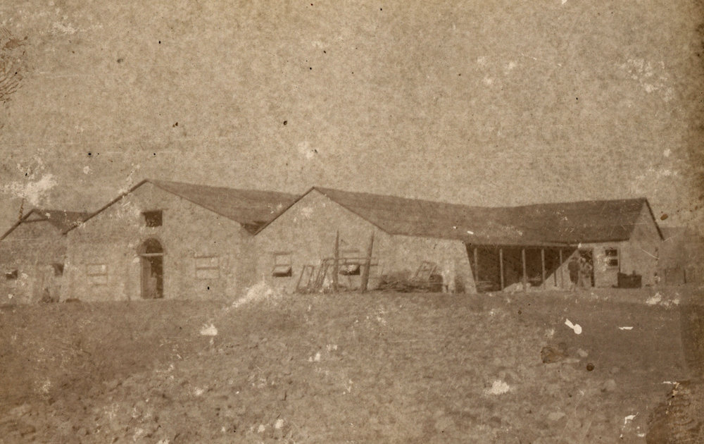 Photo from page 25 of album WWI Photograph Album - New Zealand, Egypt and Sinai &amp; Palestine.