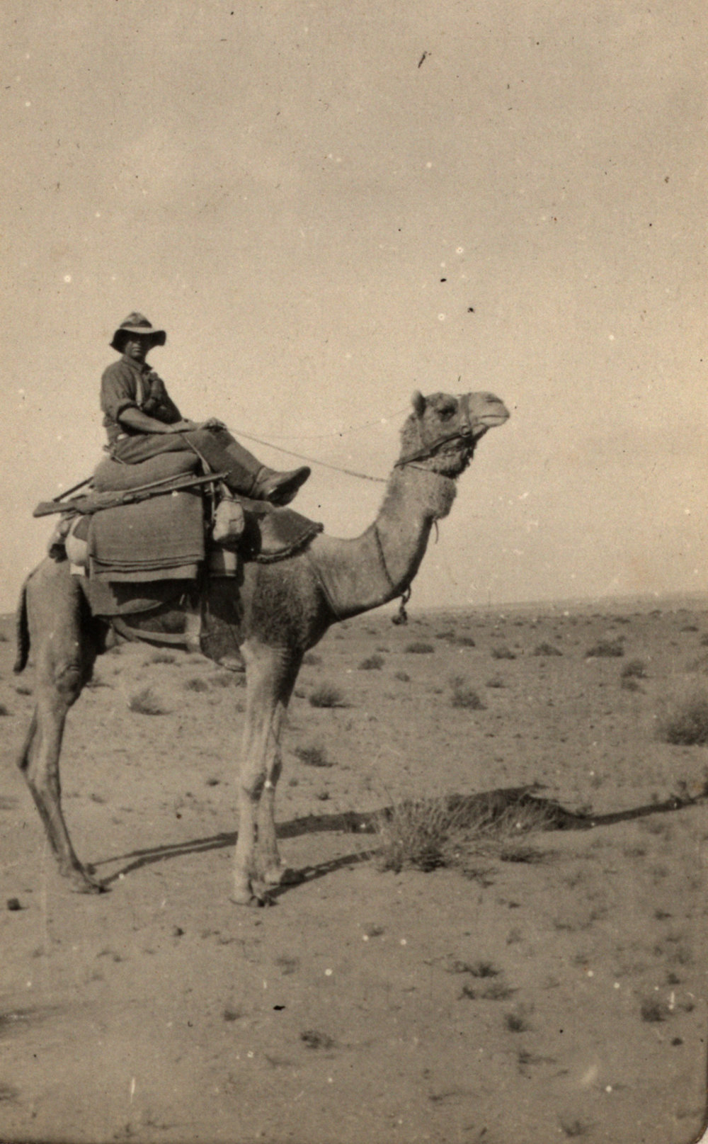Photo from page 03 of album WWI Photograph Album - New Zealand, Egypt, Sinai &amp; Palestine.