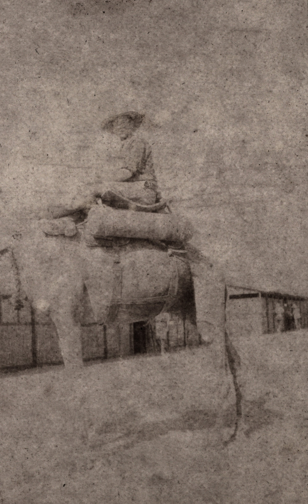 Photo from page 03 of album WWI Photograph Album - New Zealand, Egypt, Sinai &amp; Palestine.