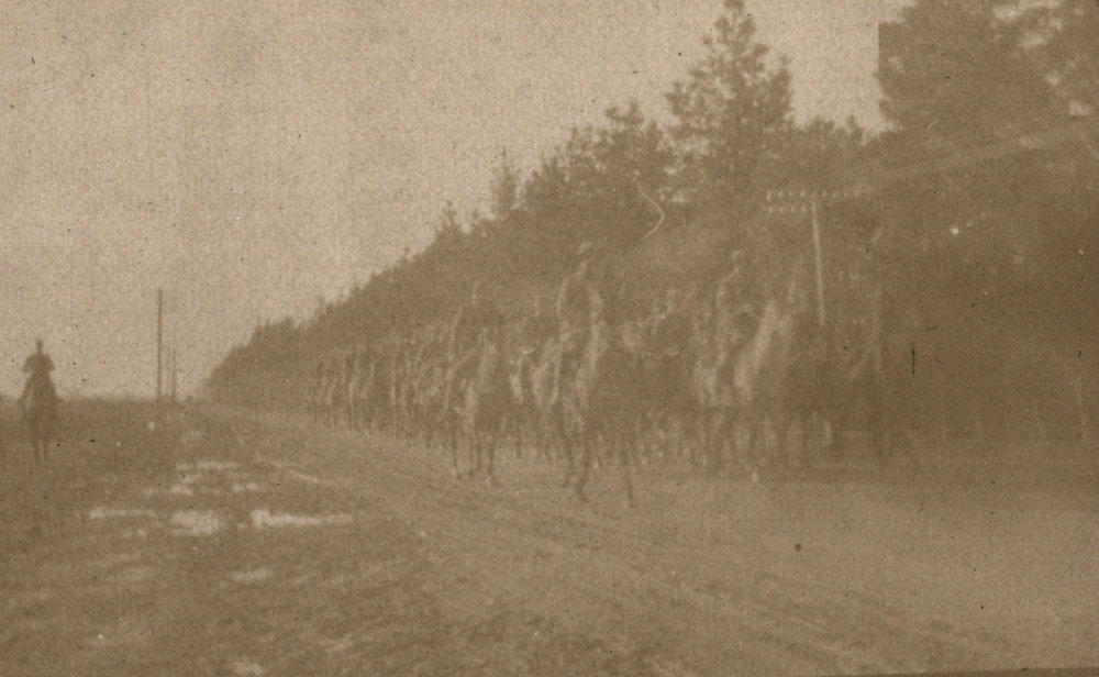 Photo from page 03 of album WWI Photograph Album - New Zealand, Egypt, Sinai &amp; Palestine.