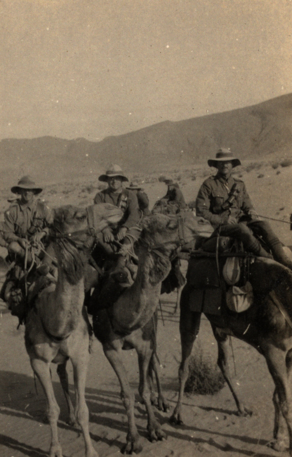 Photo from page 04 of album WWI Photograph Album - New Zealand, Egypt, Sinai &amp; Palestine.