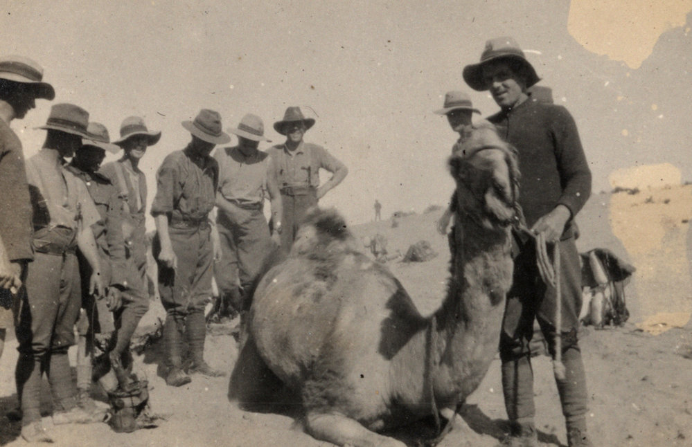 Photo from page 04 of album WWI Photograph Album - New Zealand, Egypt, Sinai &amp; Palestine.