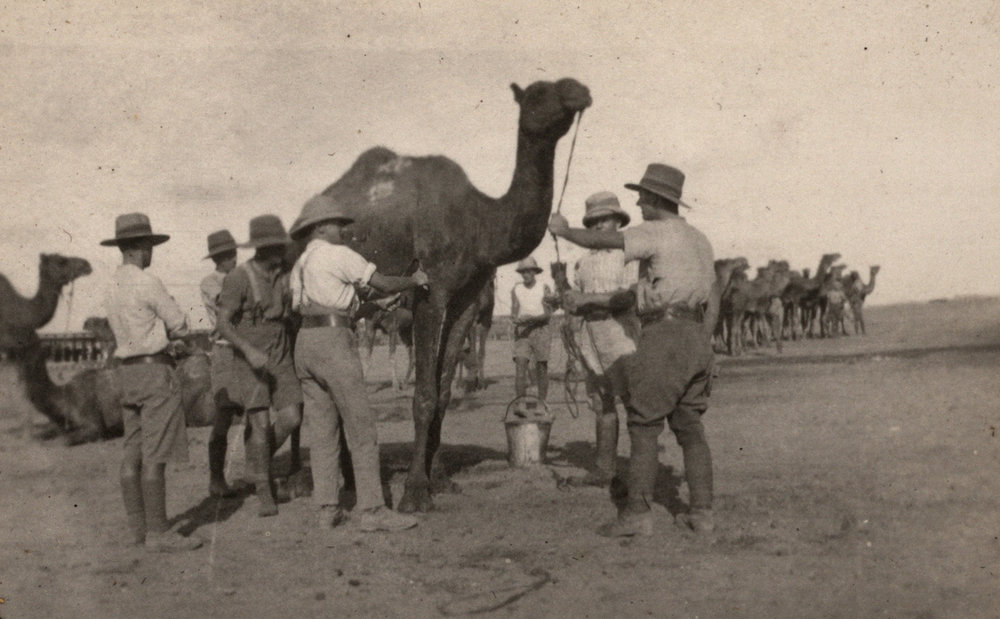 Photo from page 04 of album WWI Photograph Album - New Zealand, Egypt, Sinai &amp; Palestine.