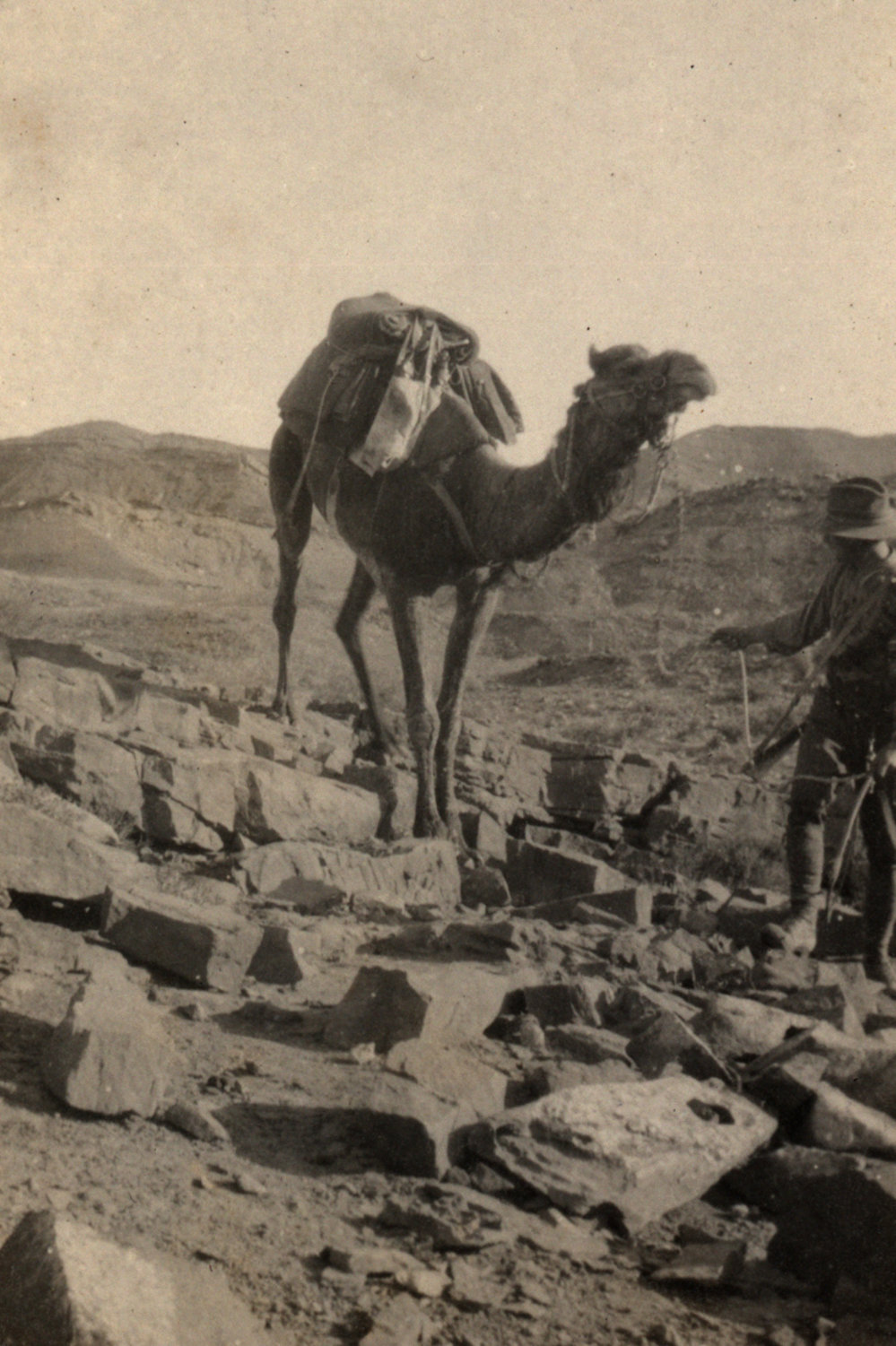 Photo from page 04 of album WWI Photograph Album - New Zealand, Egypt, Sinai &amp; Palestine.