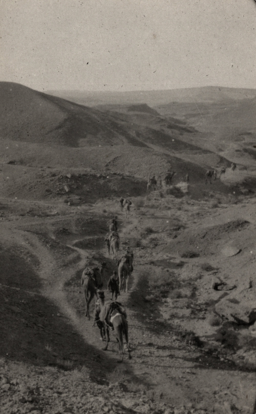 Photo from page 05 of album WWI Photograph Album - New Zealand, Egypt, Sinai &amp; Palestine.