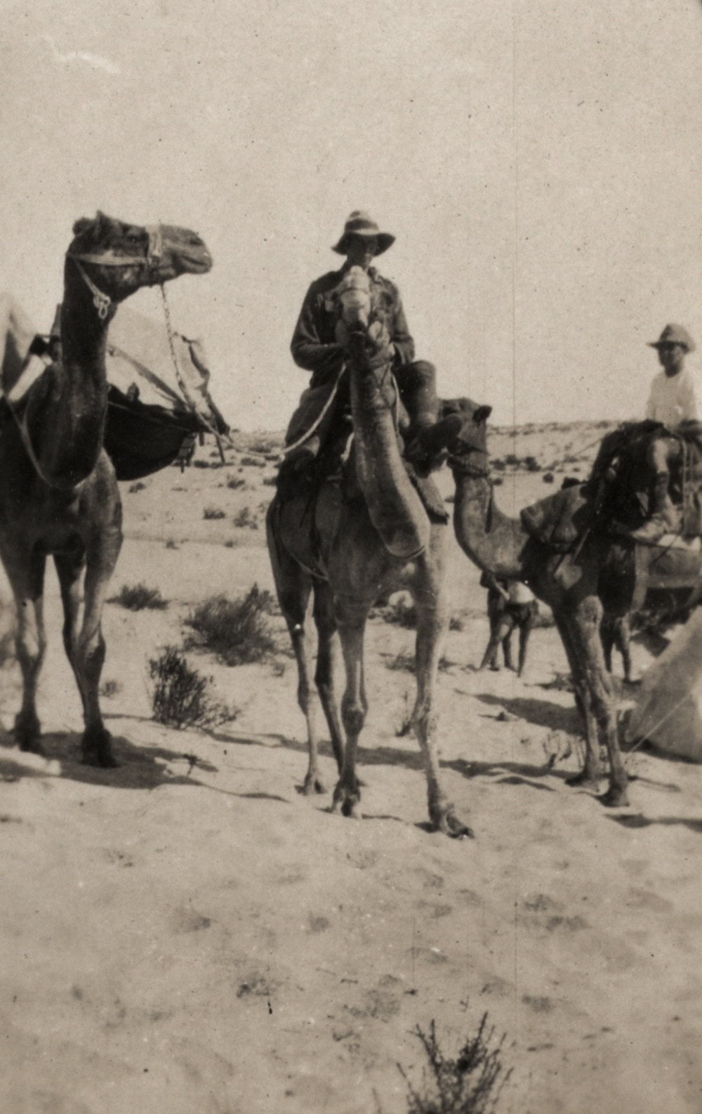 Photo from page 05 of album WWI Photograph Album - New Zealand, Egypt, Sinai &amp; Palestine.