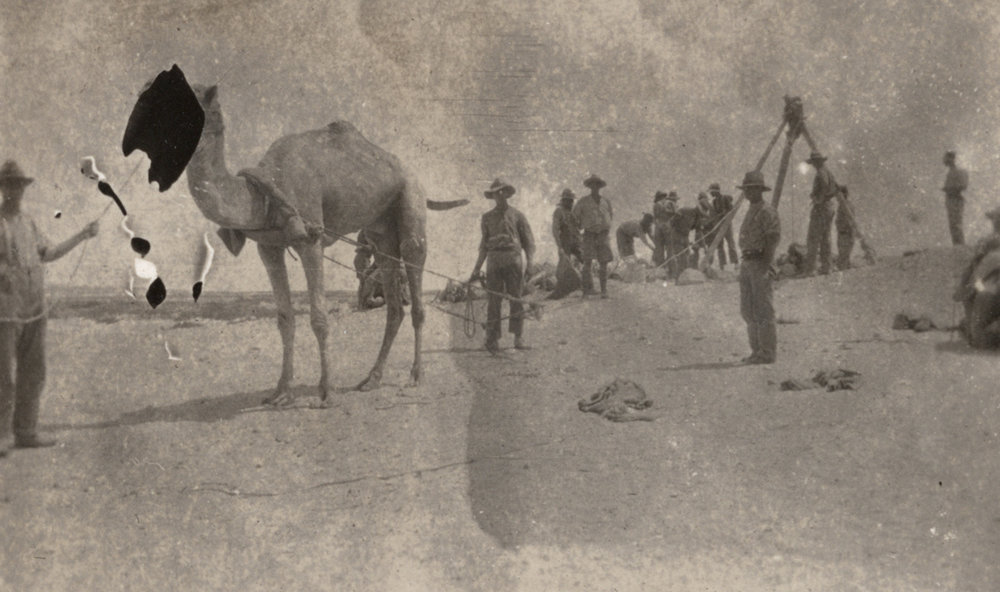 Photo from page 05 of album WWI Photograph Album - New Zealand, Egypt, Sinai &amp; Palestine.