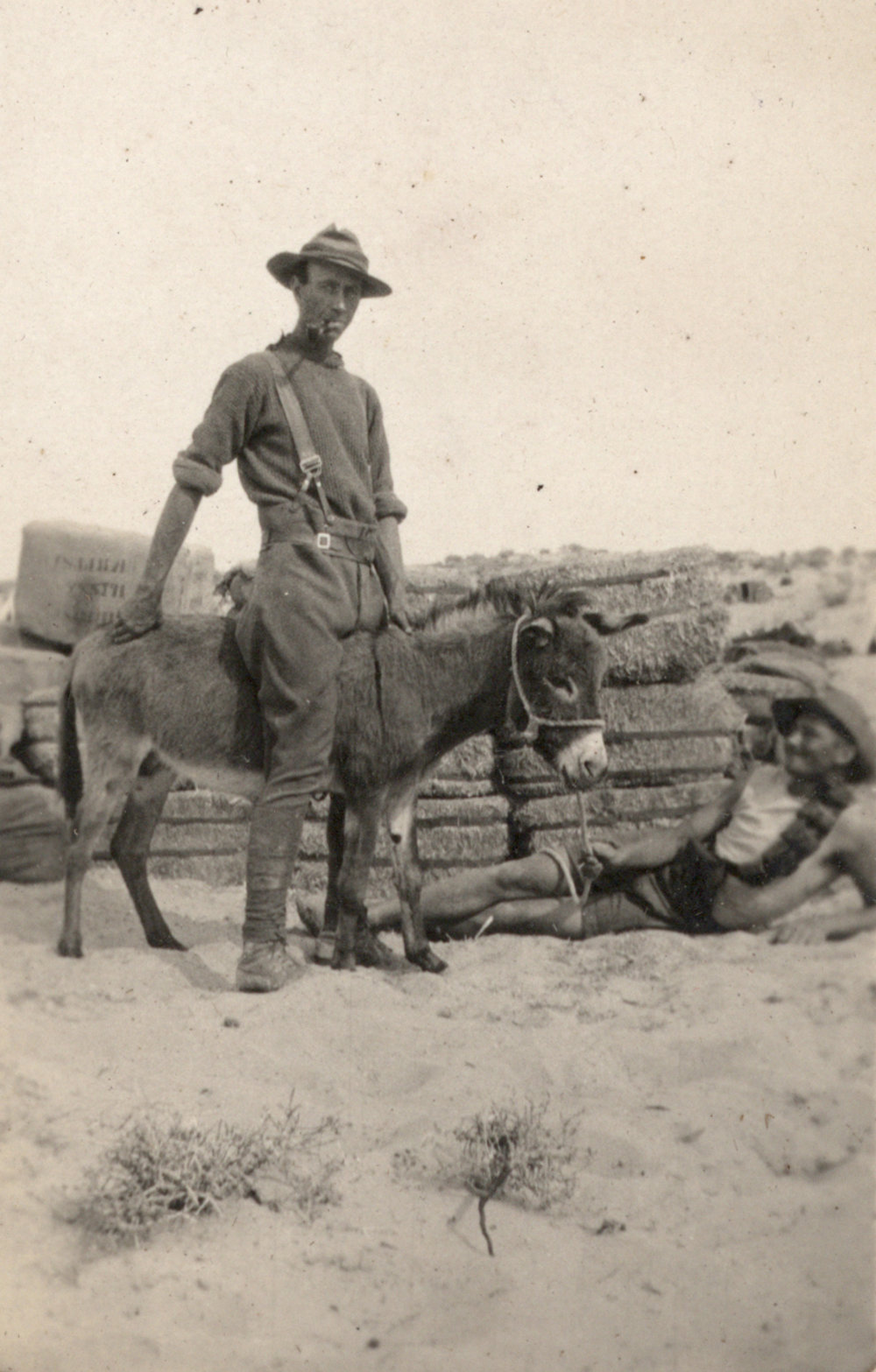 Photo from page 06 of album WWI Photograph Album - New Zealand, Egypt, Sinai &amp; Palestine.