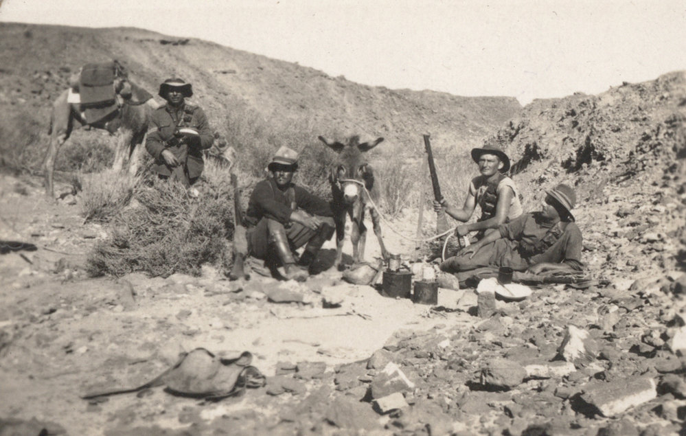 Photo from page 06 of album WWI Photograph Album - New Zealand, Egypt, Sinai &amp; Palestine.