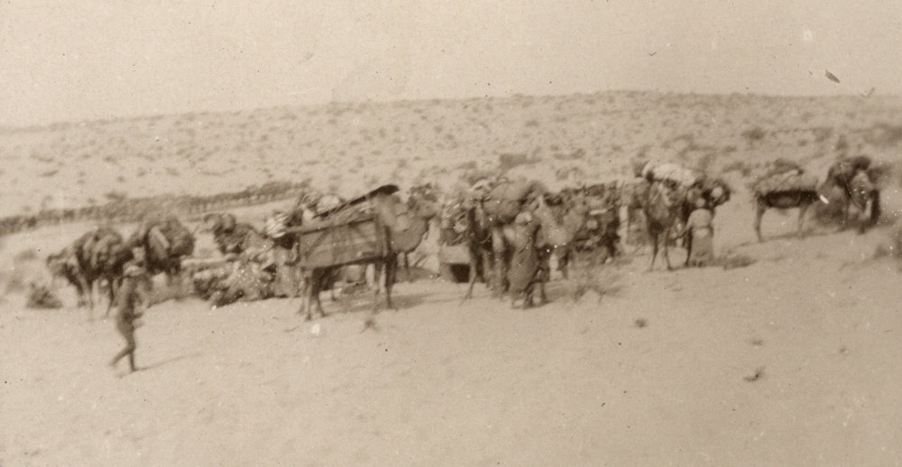 Photo from page 07 of album WWI Photograph Album - New Zealand, Egypt, Sinai &amp; Palestine.