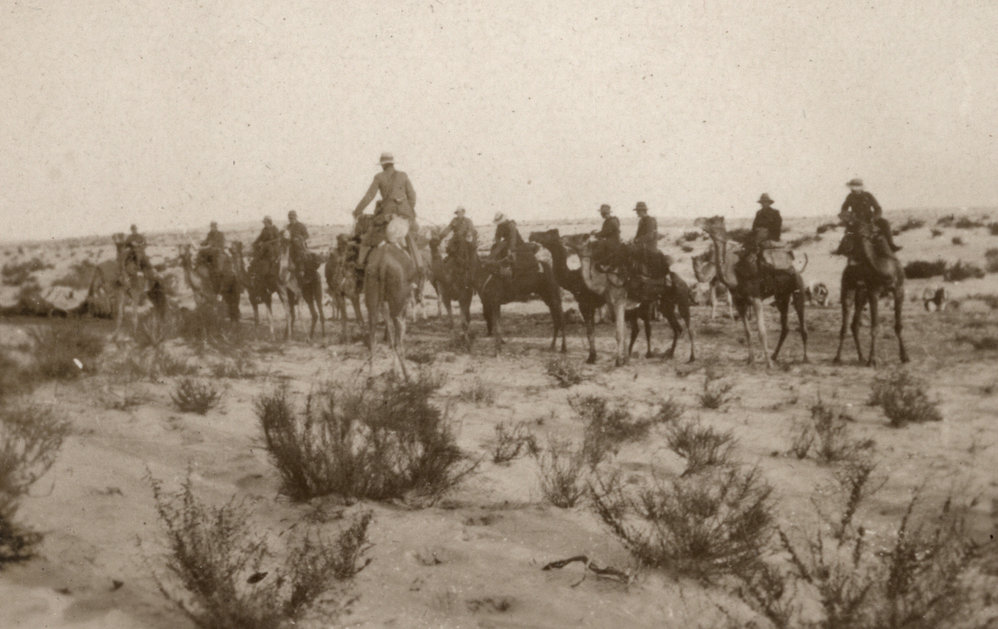 Photo from page 07 of album WWI Photograph Album - New Zealand, Egypt, Sinai &amp; Palestine.