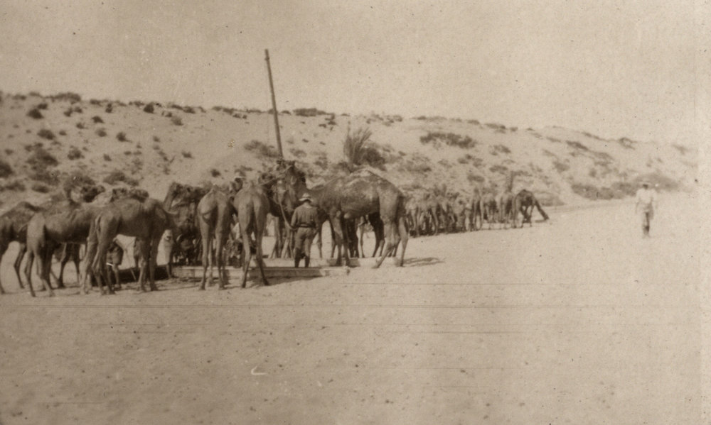 Photo from page 07 of album WWI Photograph Album - New Zealand, Egypt, Sinai &amp; Palestine.