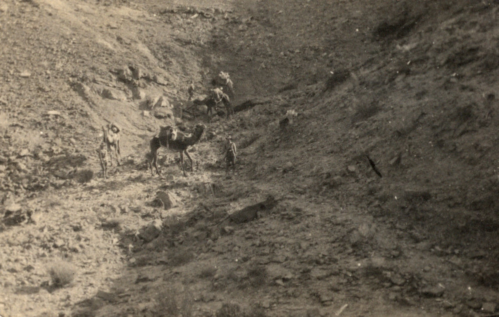 Photo from page 07 of album WWI Photograph Album - New Zealand, Egypt, Sinai &amp; Palestine.