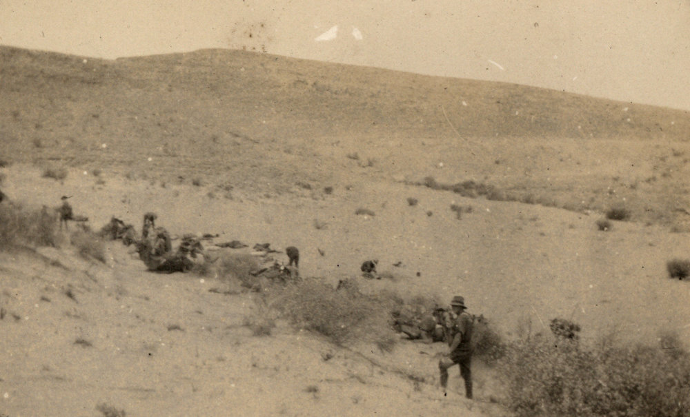 Photo from page 08 of album WWI Photograph Album - New Zealand, Egypt, Sinai &amp; Palestine.