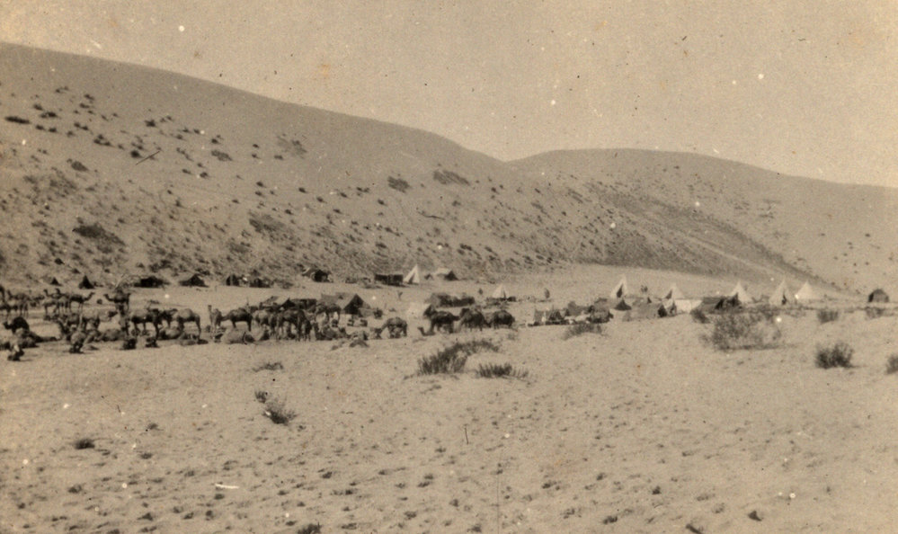 Photo from page 08 of album WWI Photograph Album - New Zealand, Egypt, Sinai &amp; Palestine.